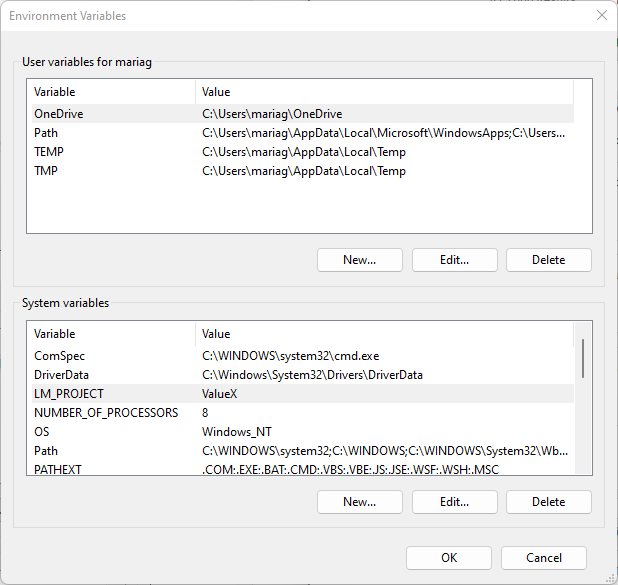 Environment Variable